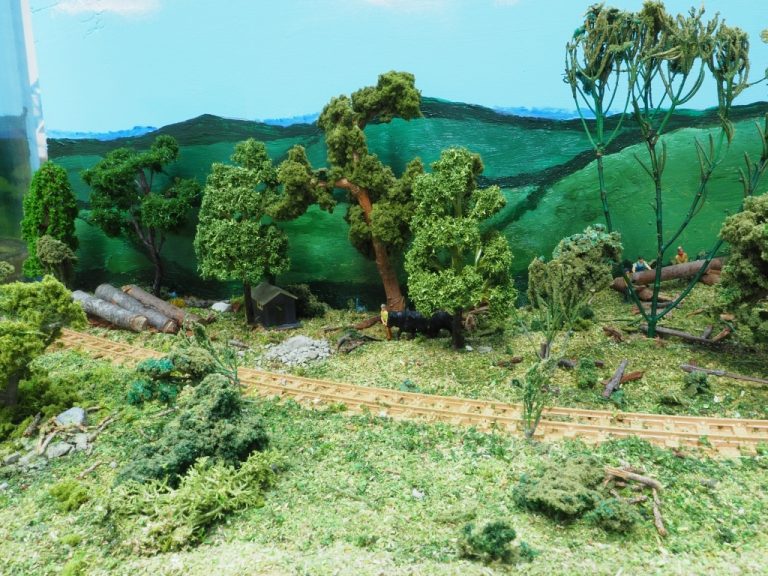 Timber haul loading area