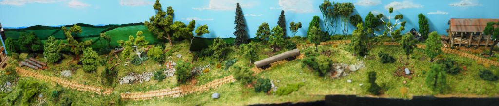 Flat Rock incline Timber tramway